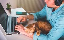 Animals-can-lead-to-flexibility-work-life-balance
