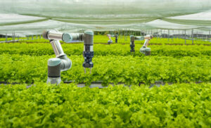 robot-arms-helping-in-vegetation