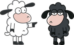 Black-and-white-sheep