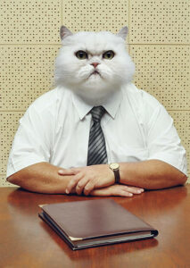 Employer-thinking-they-are-a-cat.